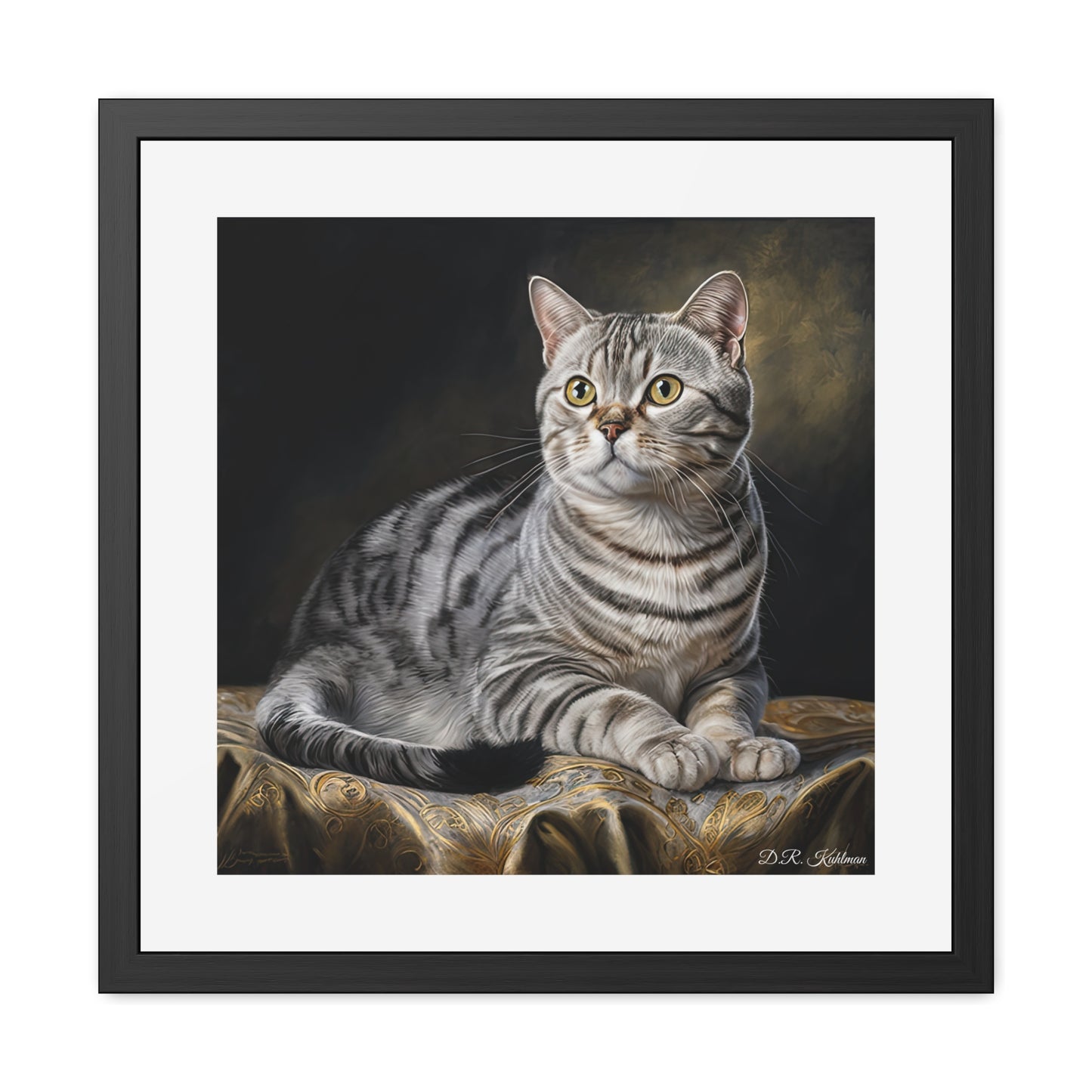 American Shorthair Cat - Framed Fine Art Print