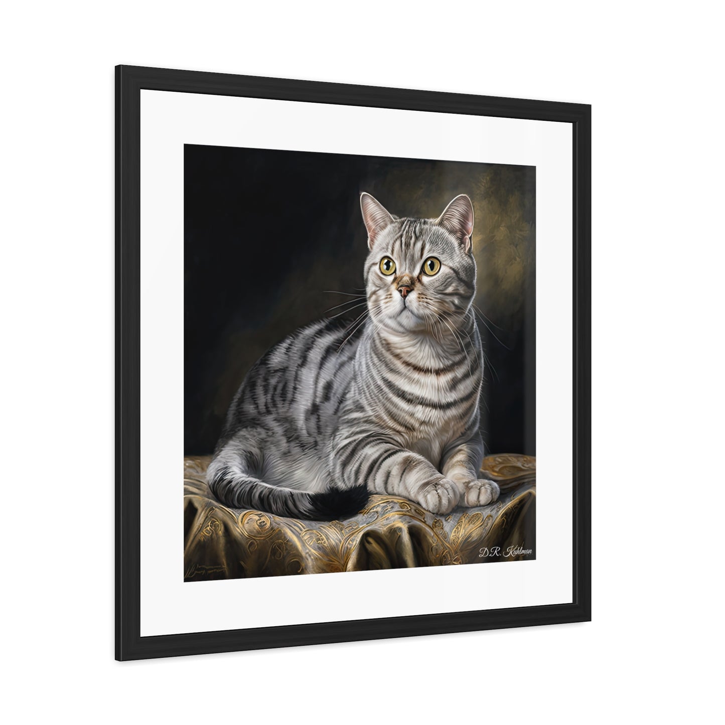 American Shorthair Cat - Framed Fine Art Print