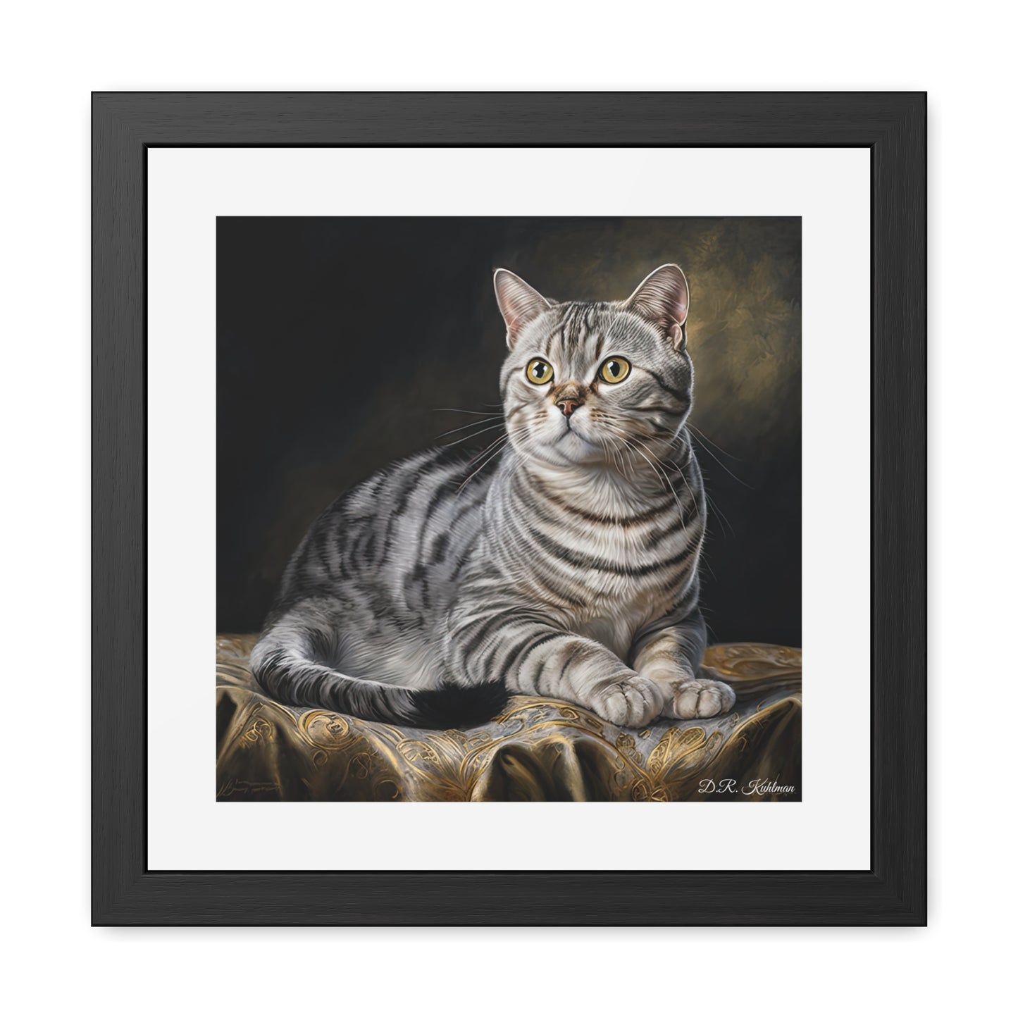 American Shorthair Cat - Framed Fine Art Print