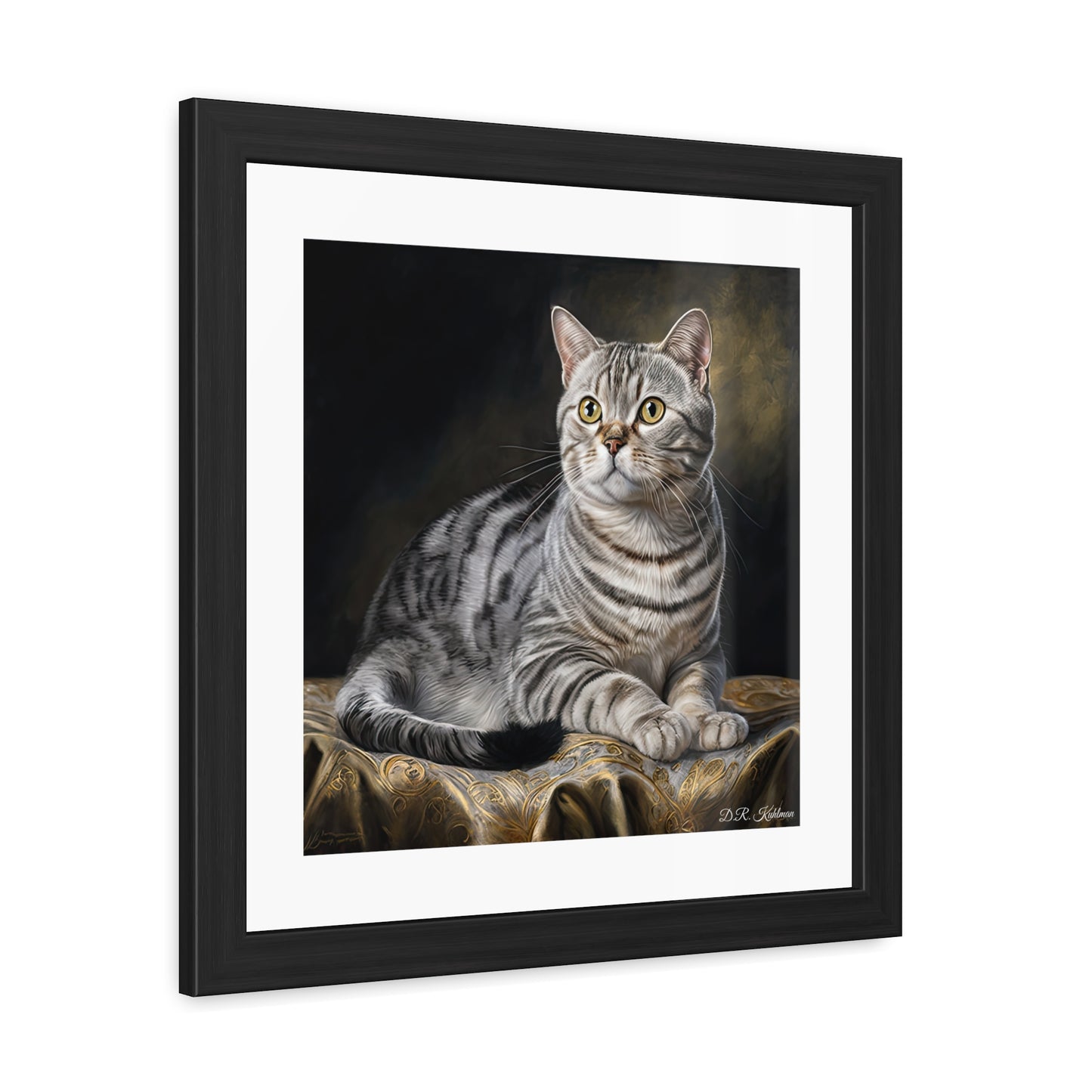 American Shorthair Cat - Framed Fine Art Print