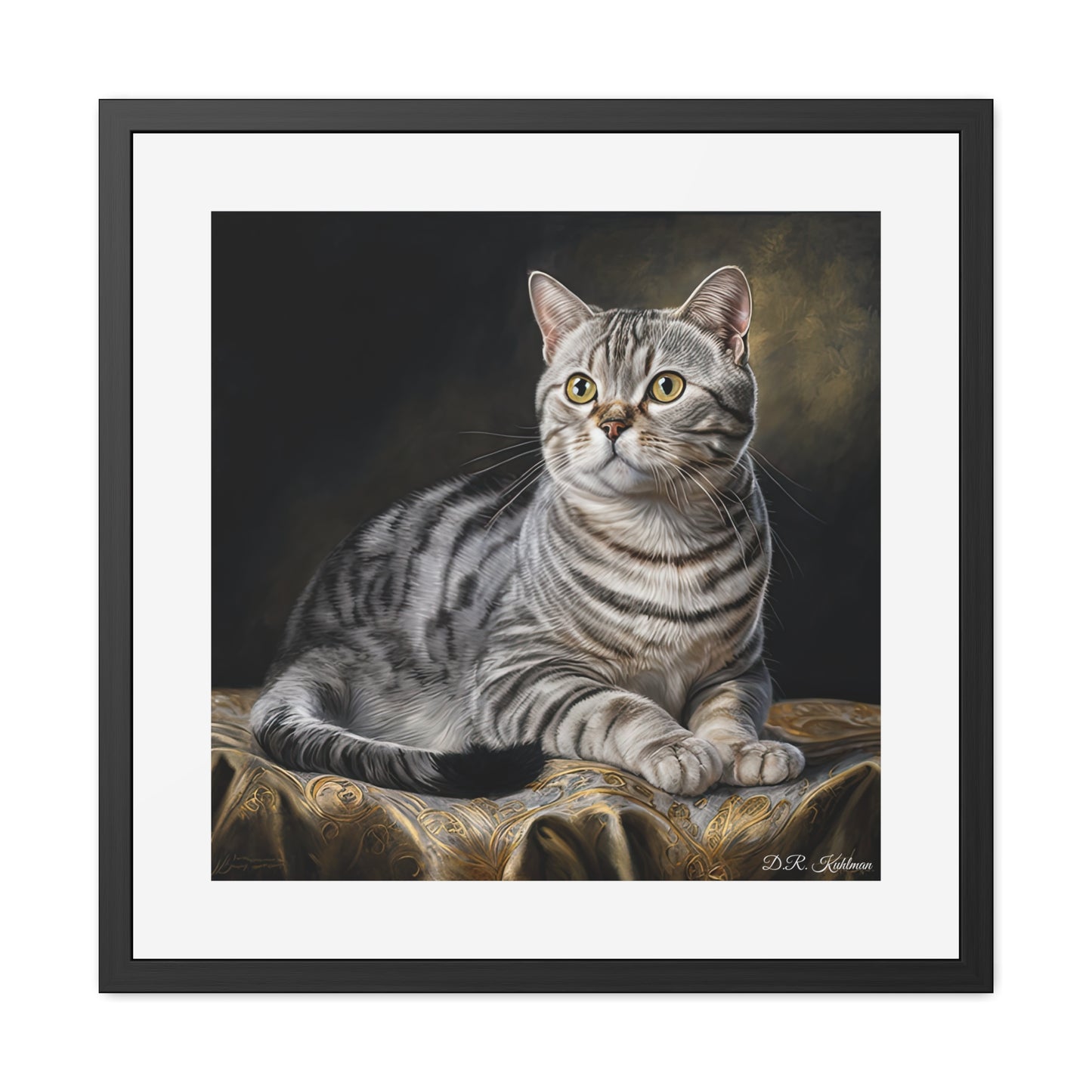 American Shorthair Cat - Framed Fine Art Print