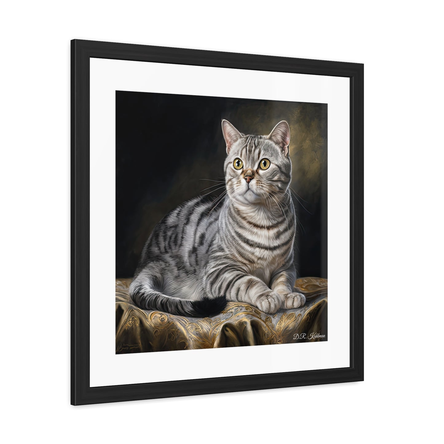 American Shorthair Cat - Framed Fine Art Print